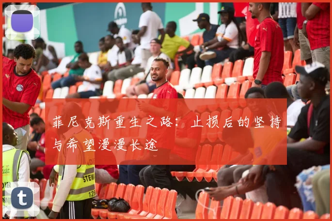 菲尼克斯重生之路:止损后的坚持与希望漫漫长途